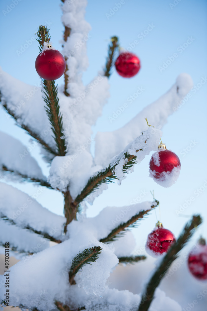 christmas balls on tree Stock Photo Adobe Stock