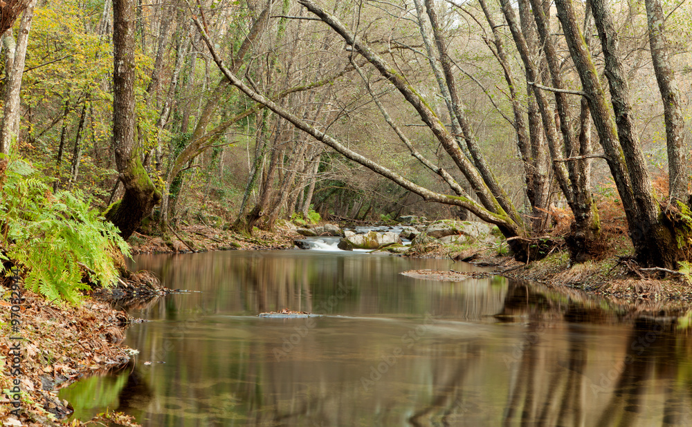 Autumn landscape with a river surrounded by trees