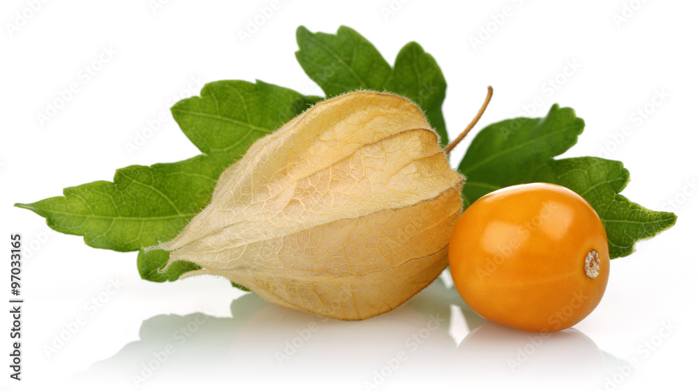 Physalis fruit Physalis fruit