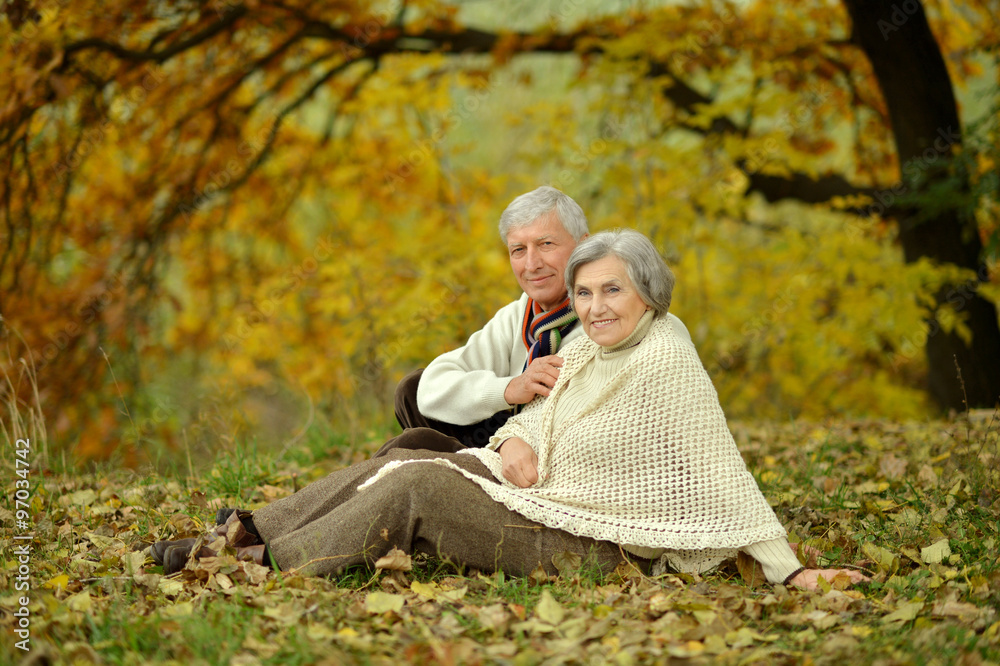 Fototapeta premium Happy elderly couple