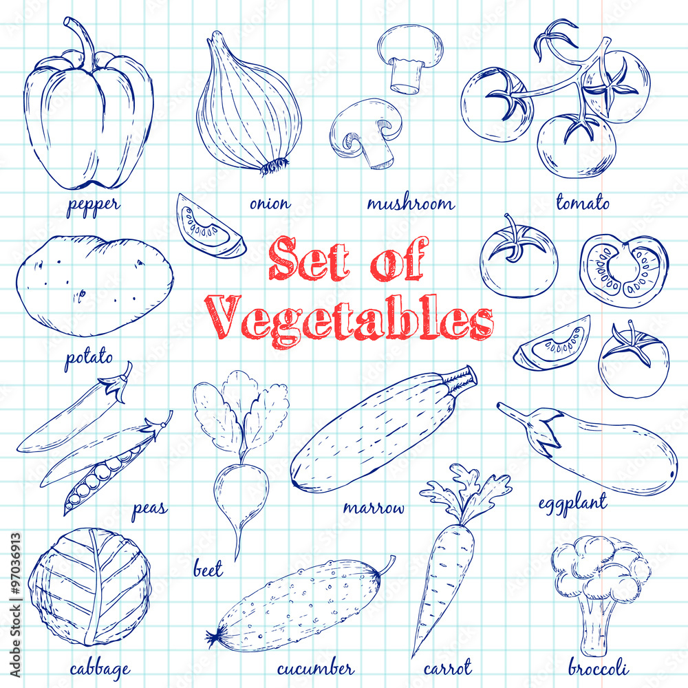Vector Set of  Vegetables