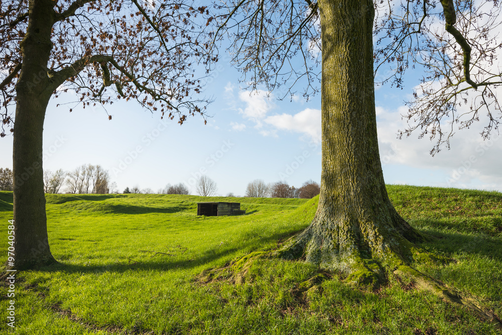 Two trees in an undulating green landscape Two trees in an undulating green landscape