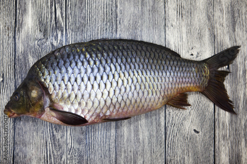 A large fresh carp live fish lying on a wooden board