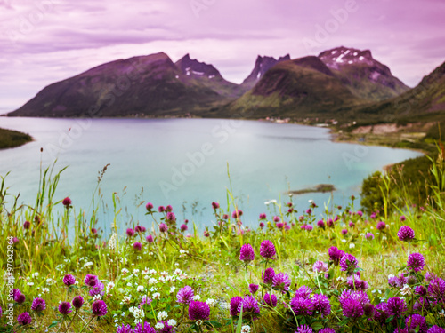 Norway nature