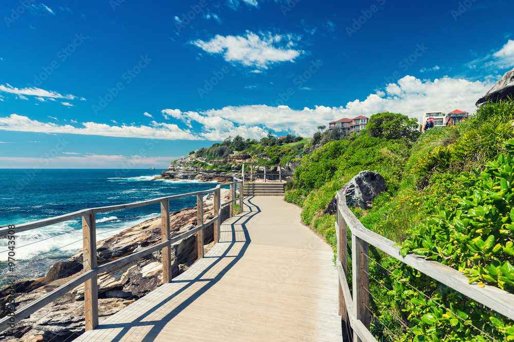 Obraz premium Plaża Bondi w Sydney w Australii