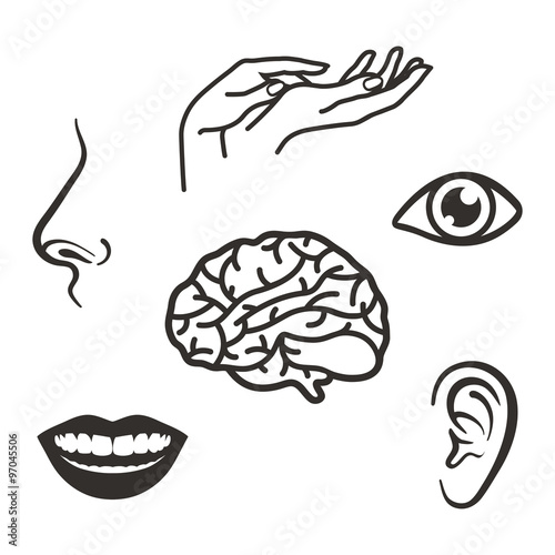 Parts of the Face and Body