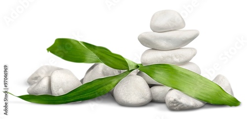Photography Zen.