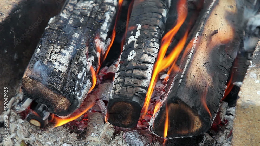 Closeup view of a bonfire flames and burning firewood Closeup view of a bonfire flames and burning firewood