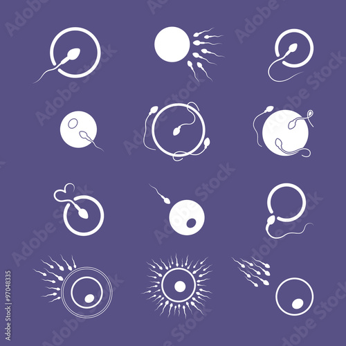 egg and sperm