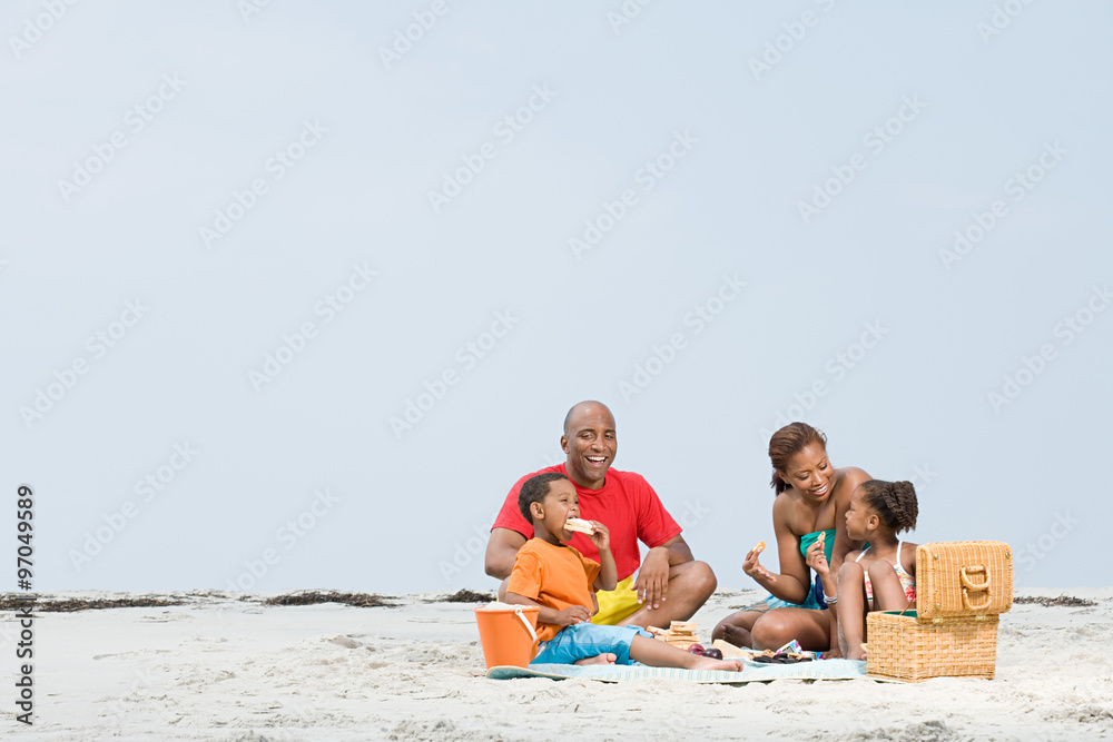 Fototapeta premium Family picnic