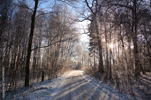 Winter landscazpe with frozen trees