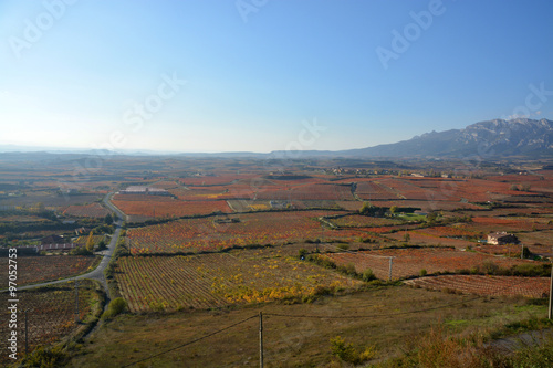 colores de otoño en los viñedos de La Rioja