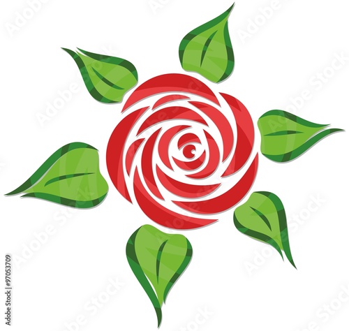 Red rose.