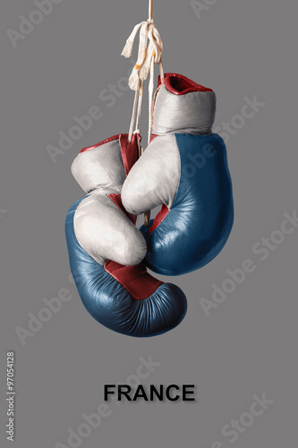 Boxing Gloves in the Color of France