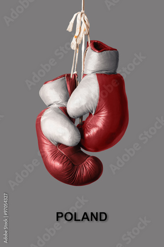 Boxing Gloves in the Color of Poland