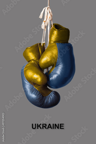 Boxing Gloves in the Color of Ukraine