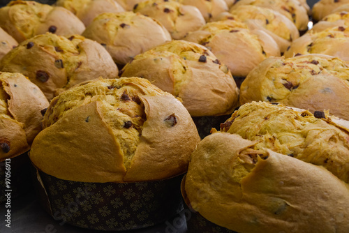 Production of homemade panettone