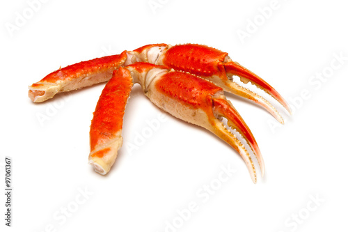 Snow crab (Chionoecetes opilio) or Tanner crab clusters isolated on a white studio background.