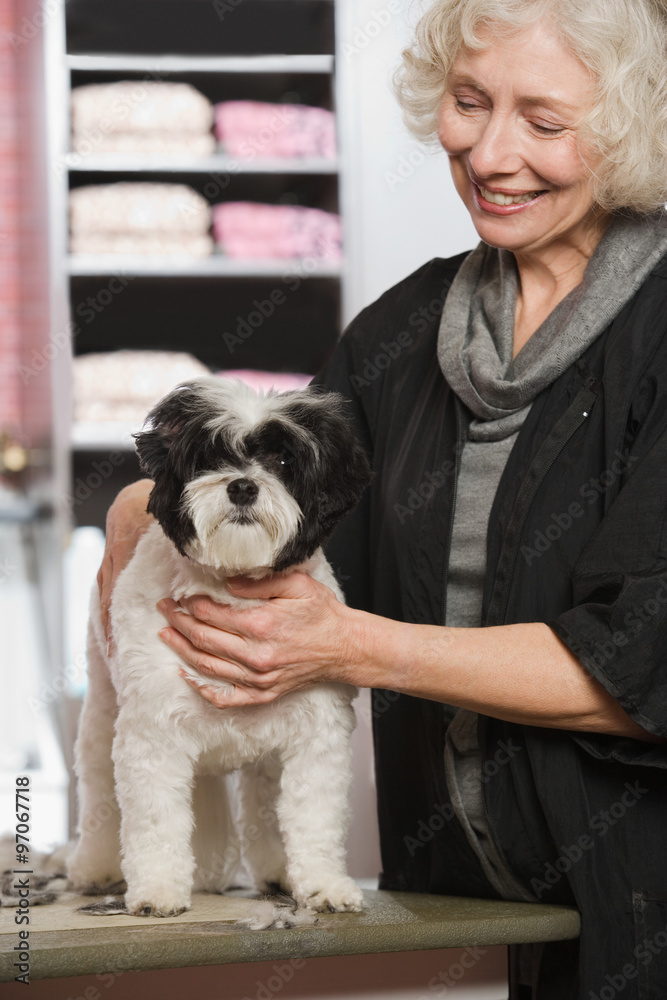 Woman and dog at pet grooming salon Woman and dog at pet grooming salon
