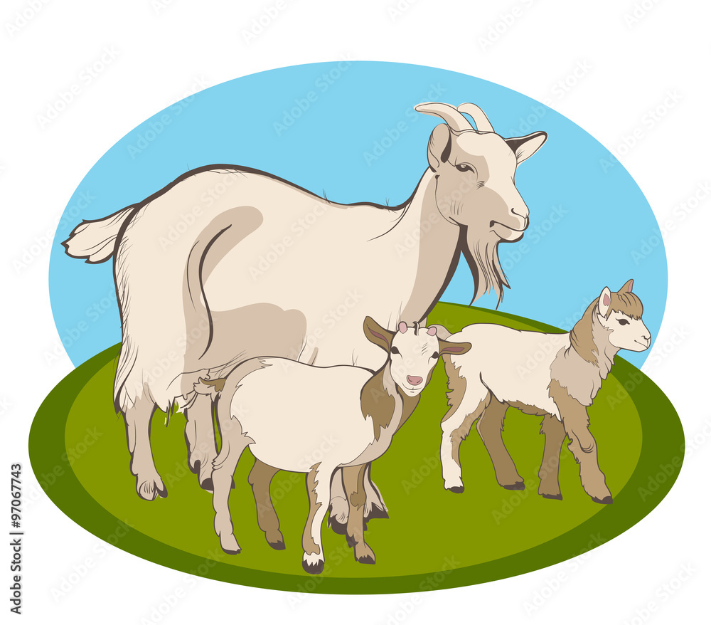 Goat and her kids Goat and her kids