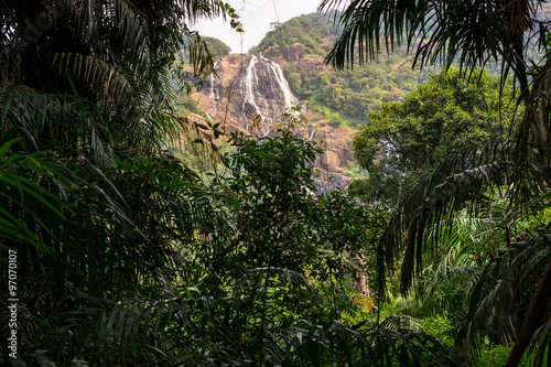 The waterfall in the jungle