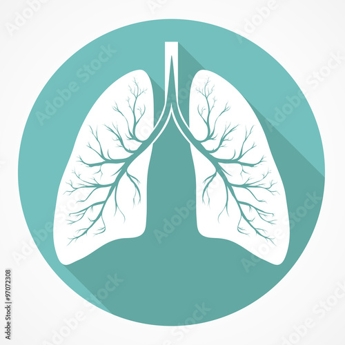 Human Lung flat icon photo