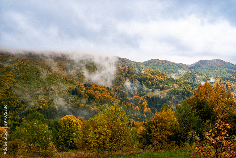 Mountain landscape with clouds and colorful trees