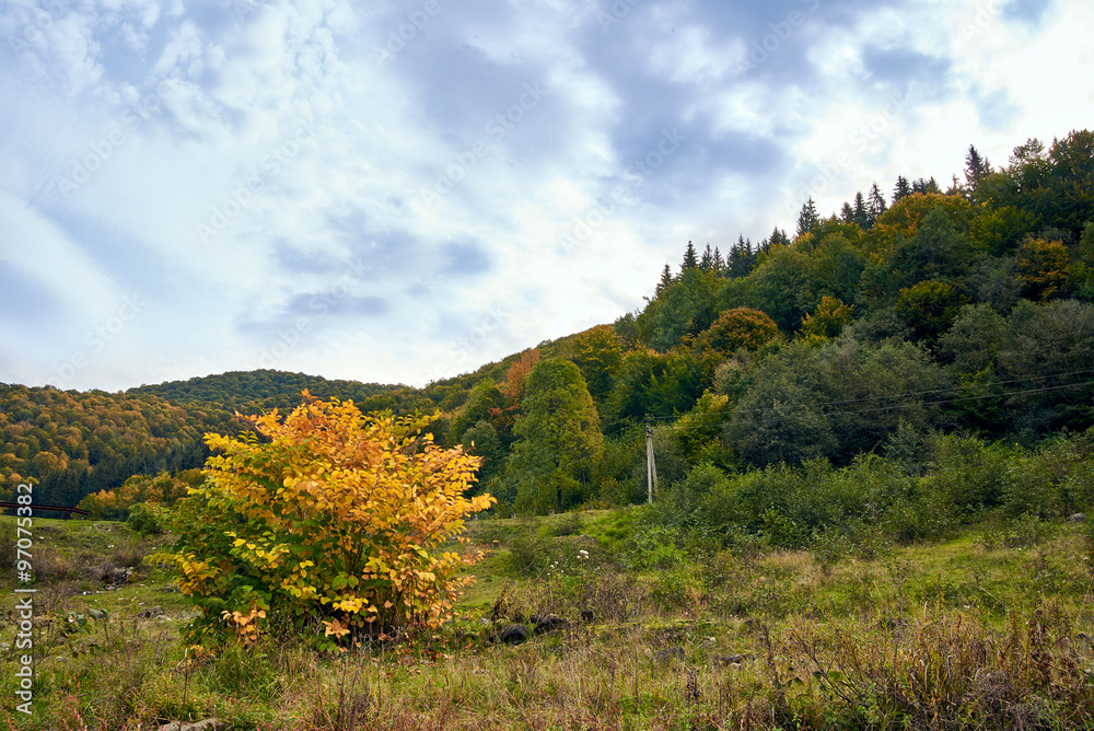 Mountain landscape with clouds and colorful trees Mountain landscape with clouds and colorful trees