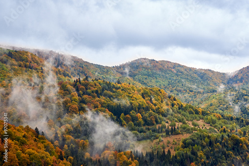 Mountain landscape with clouds and colorful trees © kirill4mula