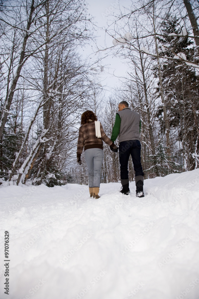 Rear view of a mature couple walking through snow
