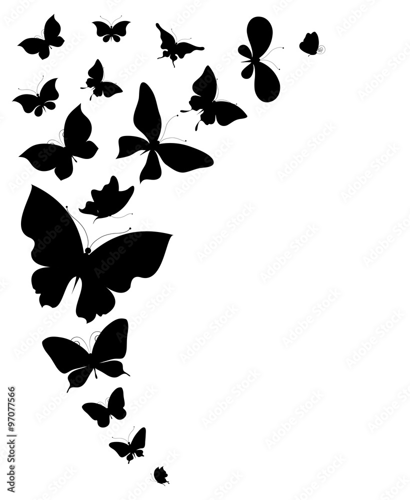 Obraz premium butterflies design