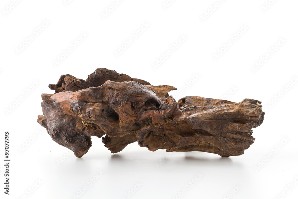 beautiful log beautiful log
