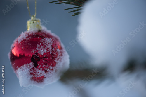 christmas balls on tree photo