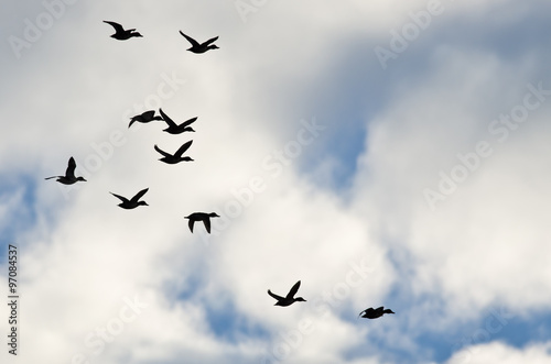 Flock of Ducks Silhouetted in a Cloudy Sky as They Fly