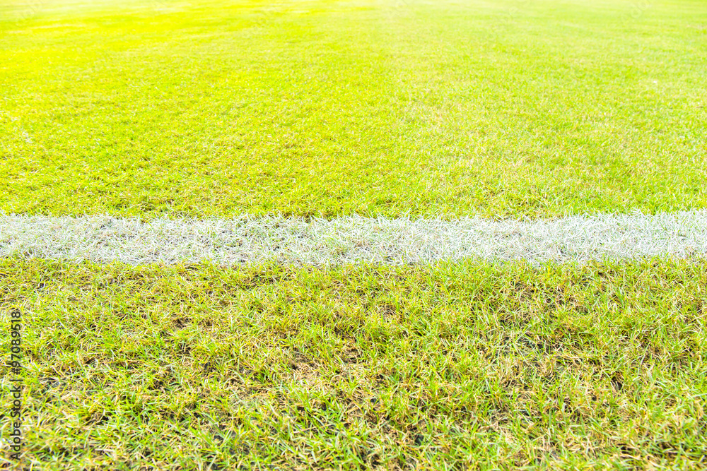 Fototapeta premium White line in football or soccer field.