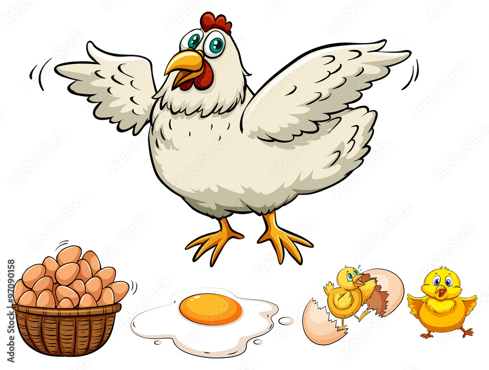 Chicken and eggs in basket Chicken and eggs in basket