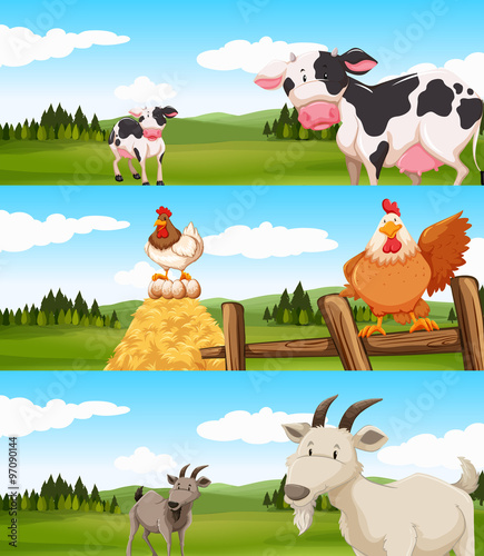 Farm animals living on farm
