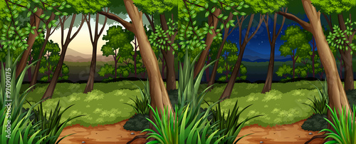 Forest scene at daytime and nighttime