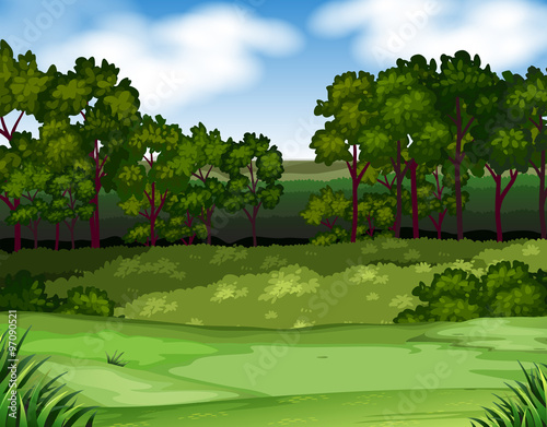 Forest scene with trees and field