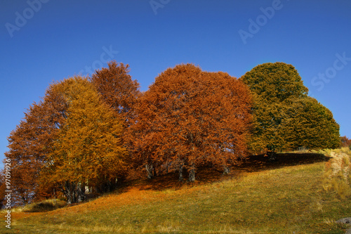 Fall nature, Bulgaria