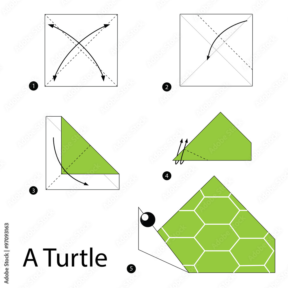 Step By Step Instructions How To Make Origami A Turtle Stock Vector Adobe Stock