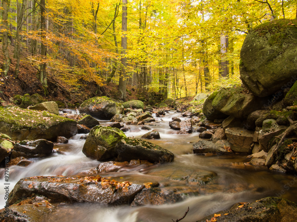 Magic autumn river and forest