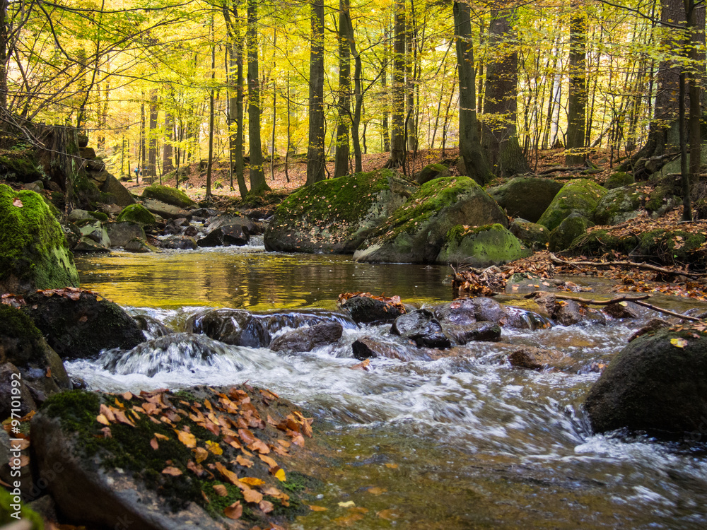 Magic autumn river and forest