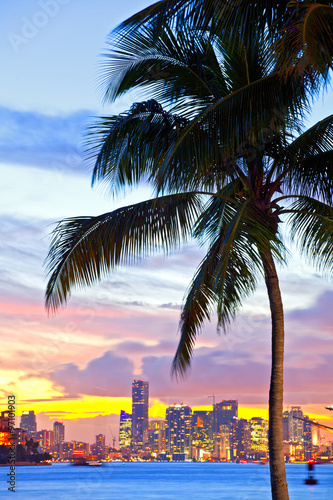 Beautiful sunset over  Downtown and the Port of Miami, beautiful colorful sunset with silhouettes of Palm trees © FotoMak