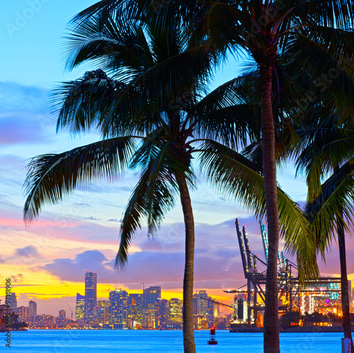 Beautiful sunset over  Downtown and the Port of Miami, beautiful colorful sunset with silhouettes of Palm trees © FotoMak
