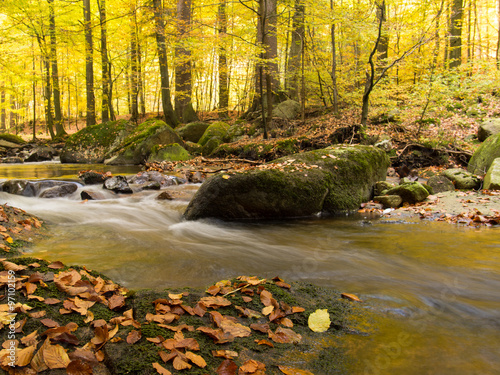 Magic autumn river and forest