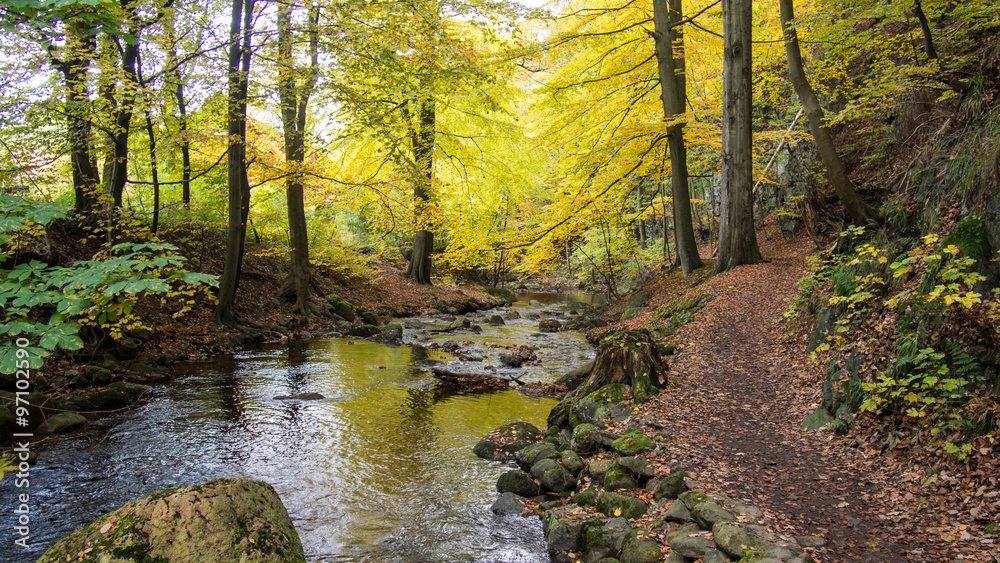 Magic autumn river and forest