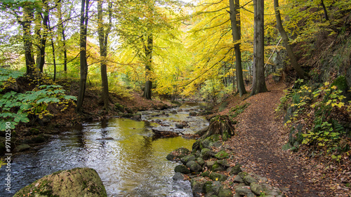 Fototapeta Naklejka Na Ścianę i Meble -  Magic autumn river and forest