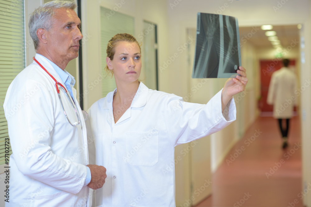 Obraz premium Doctors looking at xray