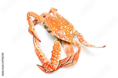  boiled crab.